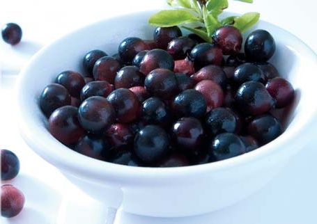 Benefits of Acai Berry in Weight Loss