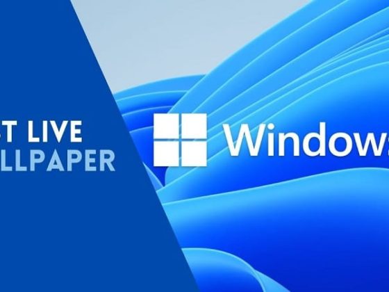 Wallpapers in Windows 11