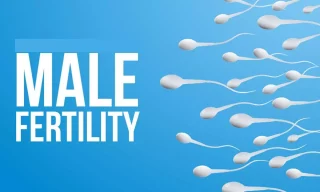 wellhealthorganic.com: male-fertility-increasing-suggest-to-solve-issue