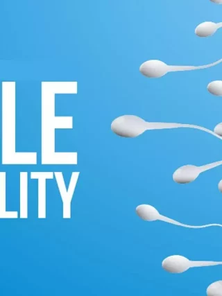 wellhealthorganic.com: male-fertility-increasing-suggest-to-solve-issue