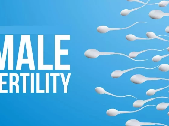 wellhealthorganic.com: male-fertility-increasing-suggest-to-solve-issue