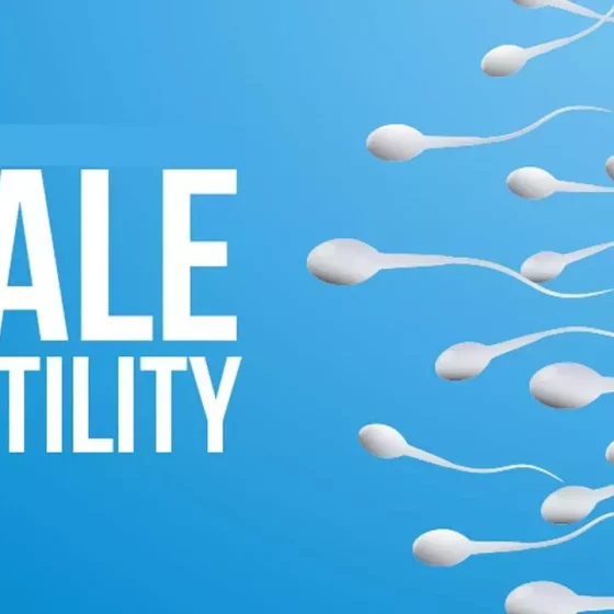 wellhealthorganic.com: male-fertility-increasing-suggest-to-solve-issue