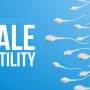 wellhealthorganic.com: male-fertility-increasing-suggest-to-solve-issue