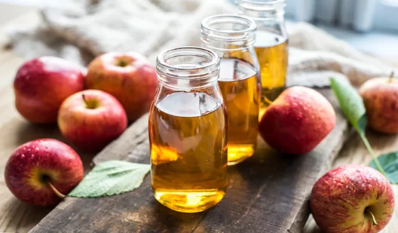 wellhealthorganic.com: Benefits Of Apple Cider Vinegar? Know Here