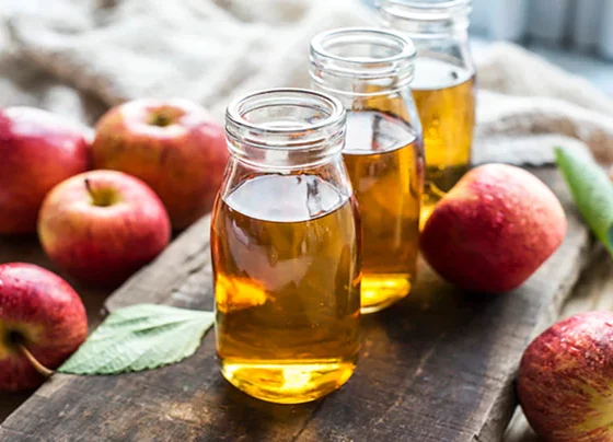 wellhealthorganic.com: Benefits Of Apple Cider Vinegar? Know Here